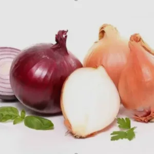 Fresh Onion