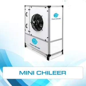 Mini Chileer