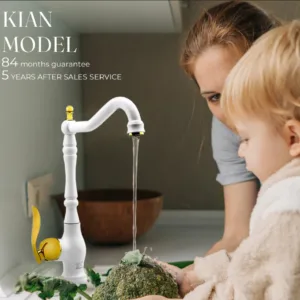 KIAN MODEL
