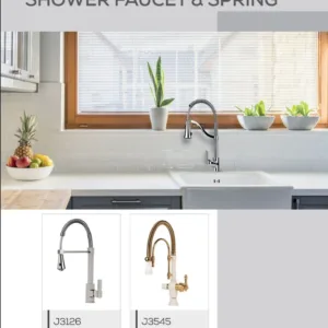 Shower Faucet & Spring
