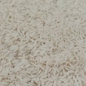 Gilan Rice