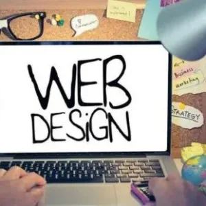 Website designer