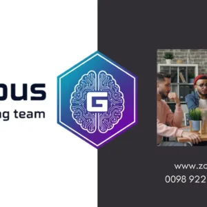 Programming team: website development, application, robot, etc.