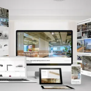 Website designer