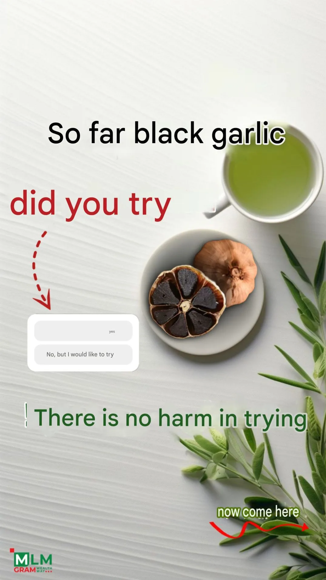Black garlic - Image 3