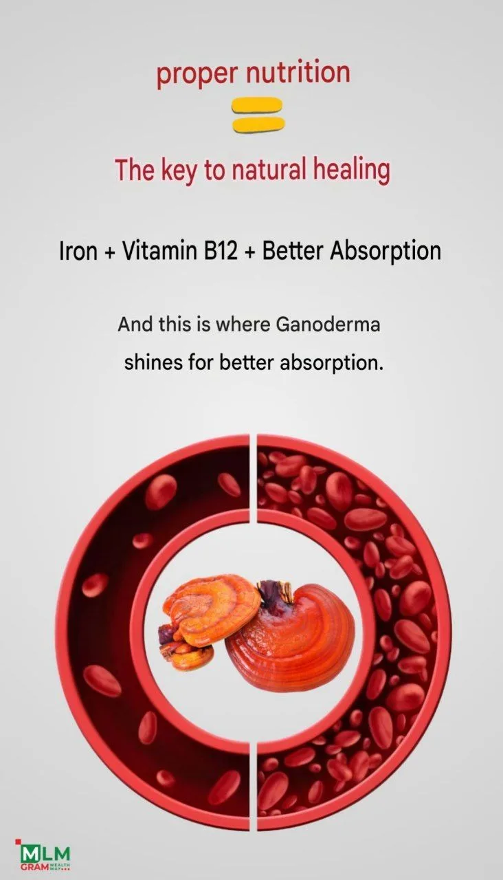 Ganoderma Mocha Coffee - Image 14