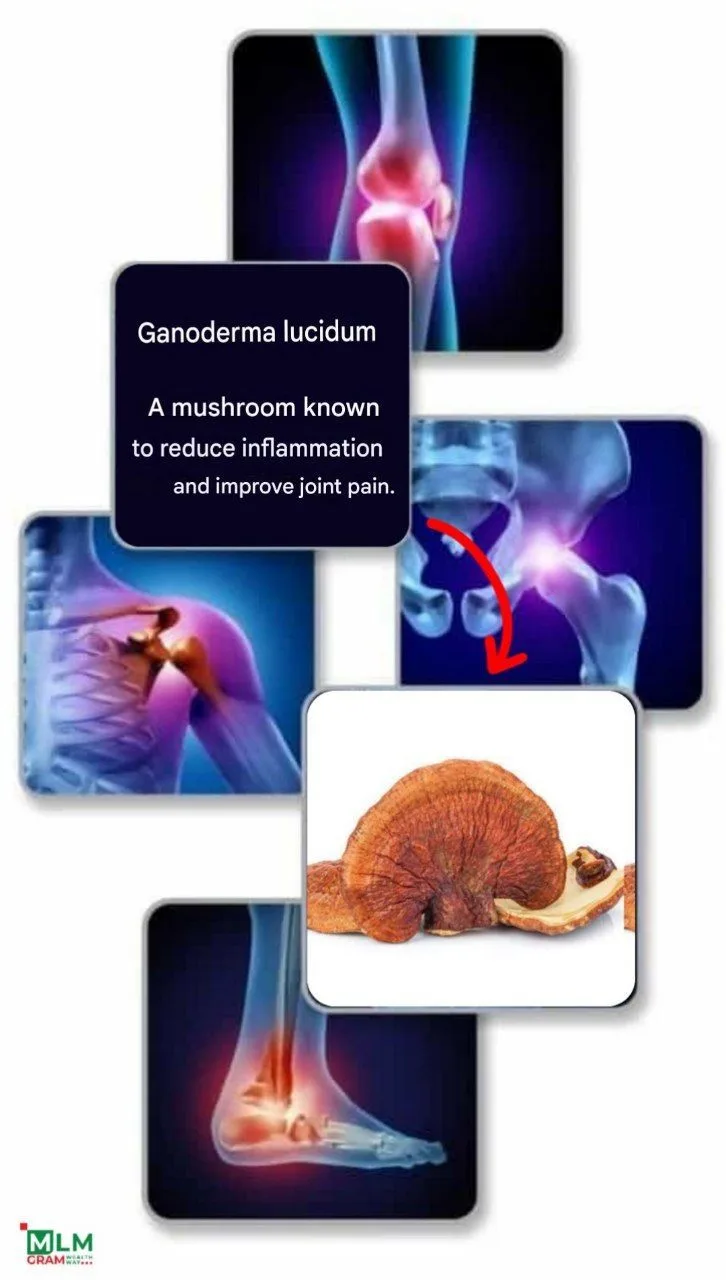 Ganoderma Masala Coffee - Image 4