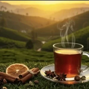 Tea Elshop
